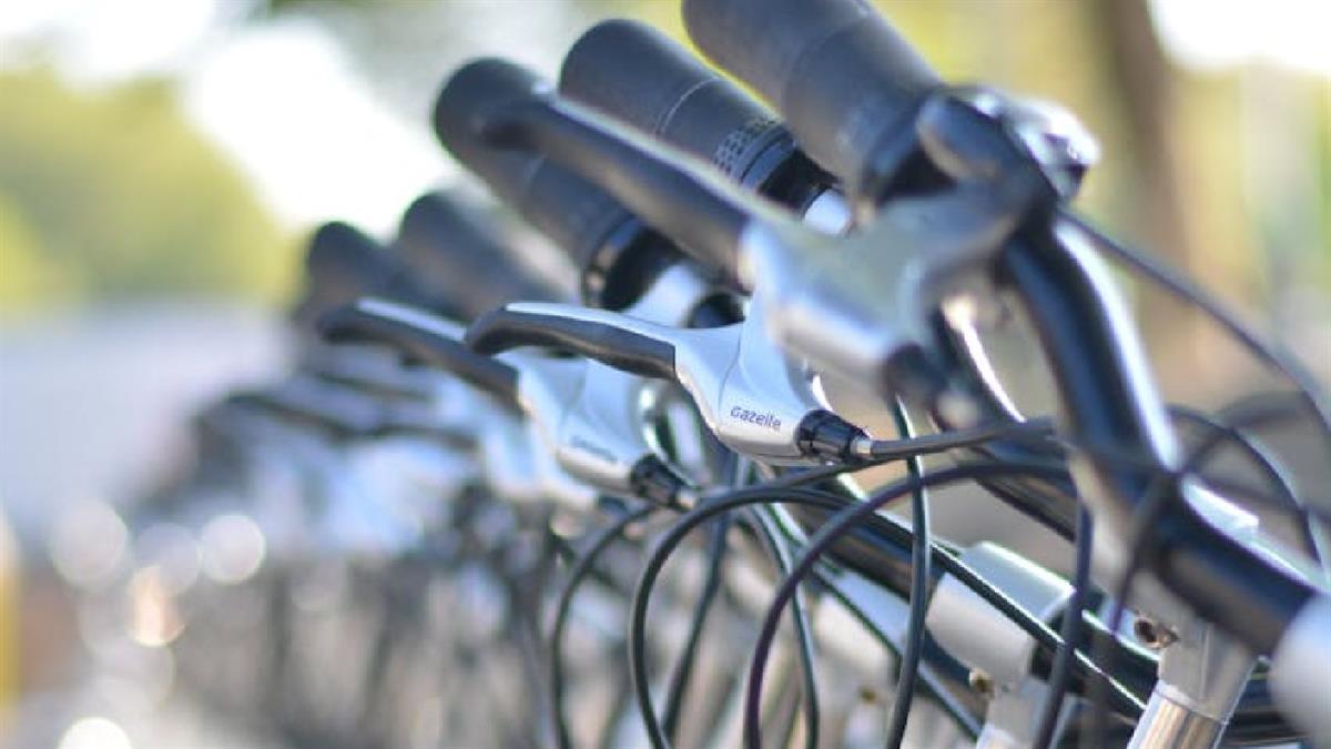 La Asociación Vecinal de la localidad quiere regular la convivencia entre ambos en la Rutabiosaludable