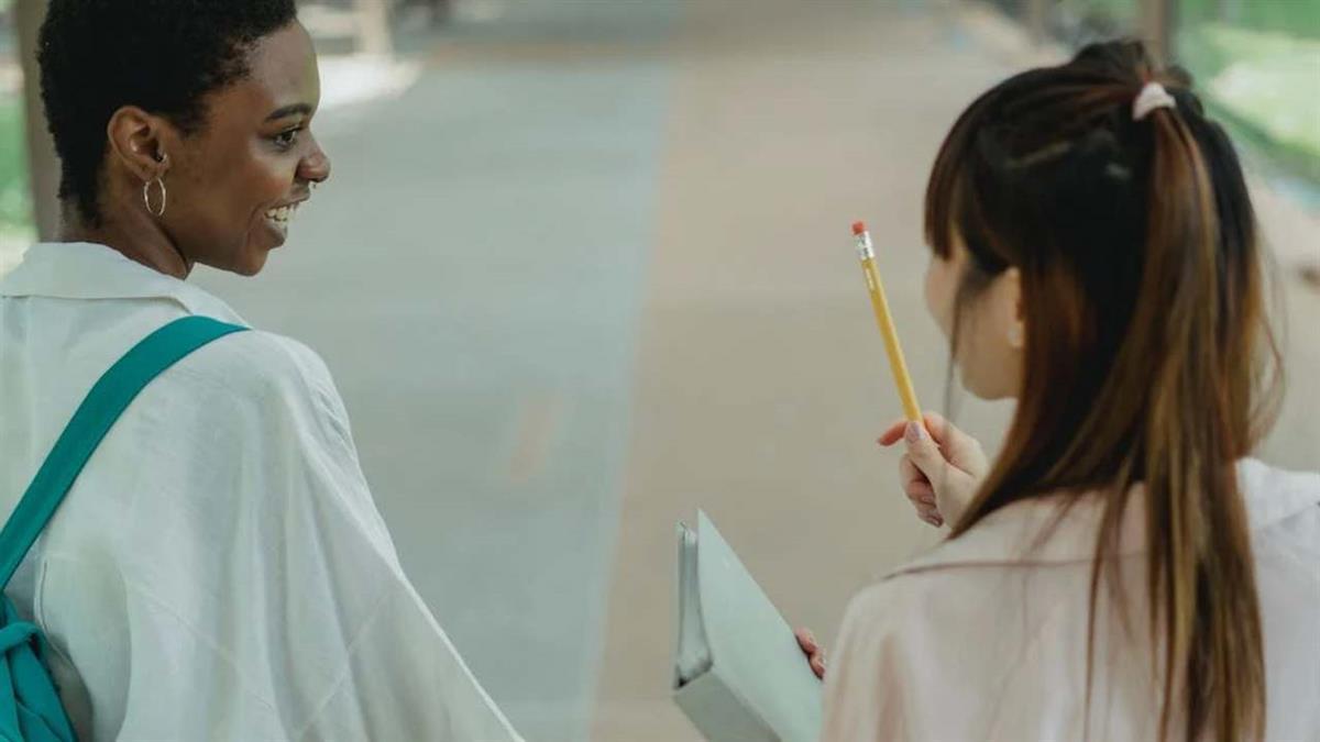 Brindarán un servicio de orientación y de desarrollo profesional