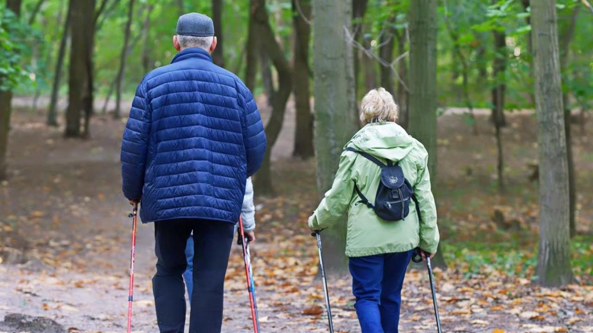 Una iniciativa puesta en marcha por la Concejalía de Mayores