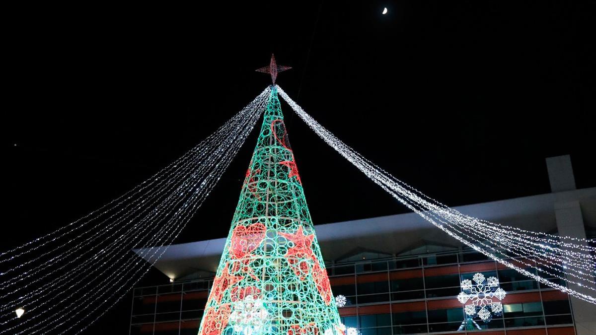 La gran parte de las actividades programadas para el público familiar son gratuitas y al aire libre