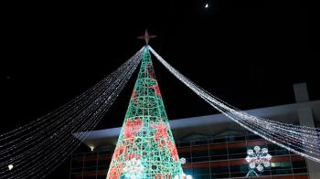 La gran parte de las actividades programadas para el público familiar son gratuitas y al aire libre