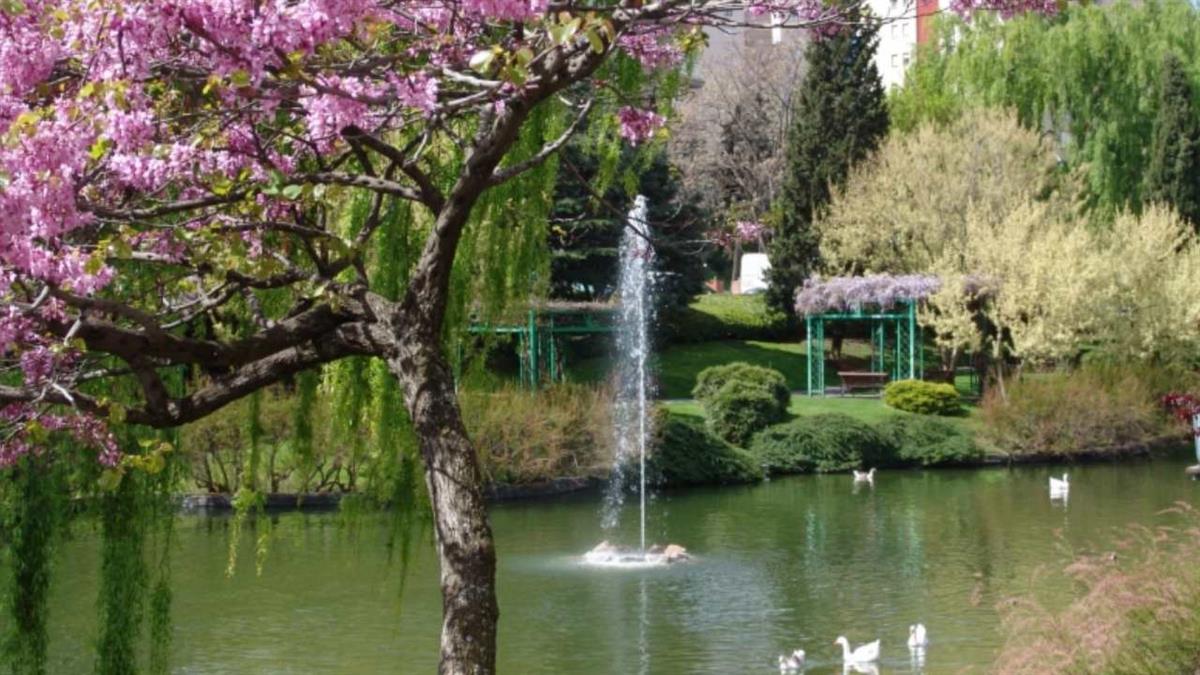 El sábado 26 de julio a las 22.00 horas en el Parque Salvador Allende