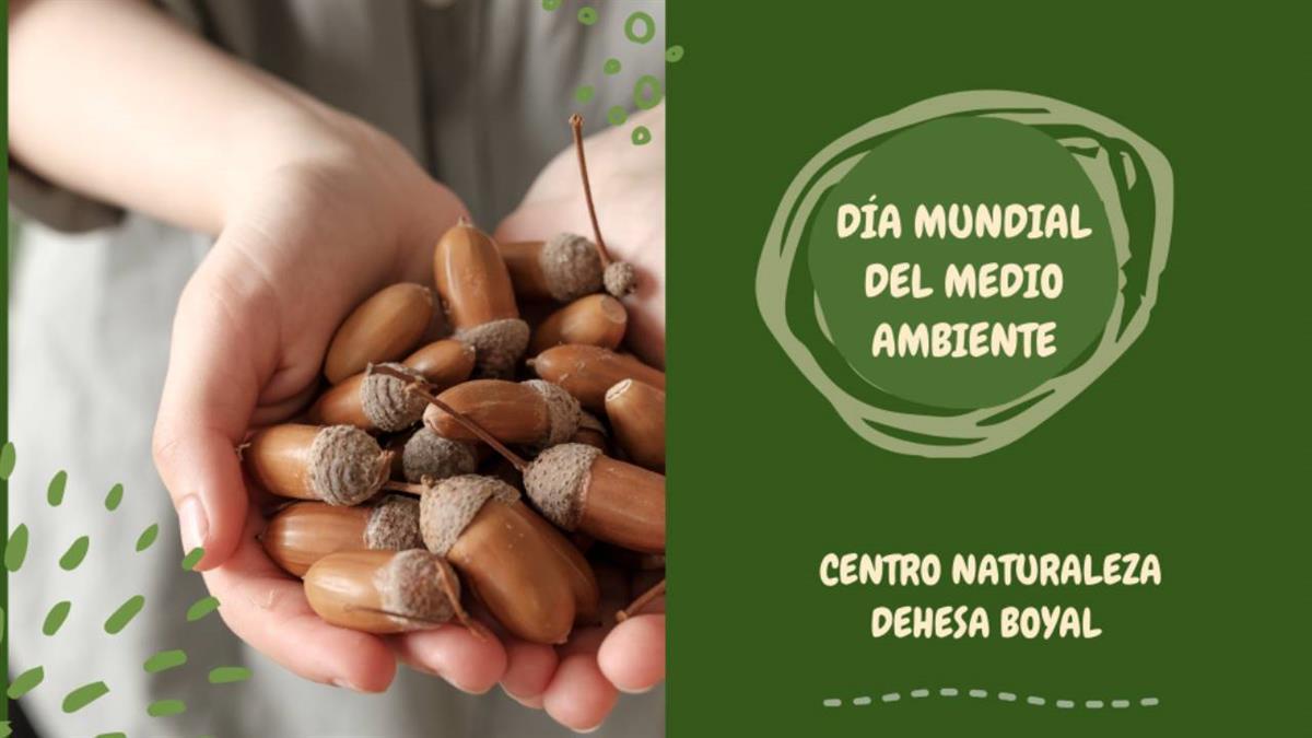 Con actividades dirigidas a todos los públicos