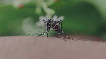 La campaña contra las larvas y mosquitos durará hasta septiembre