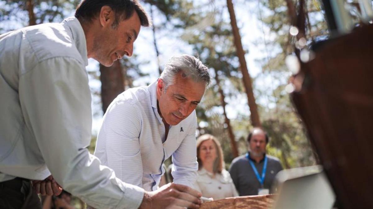 La Comunidad está llevando a cabo una investigación para la acumulación de agua en la vegetación