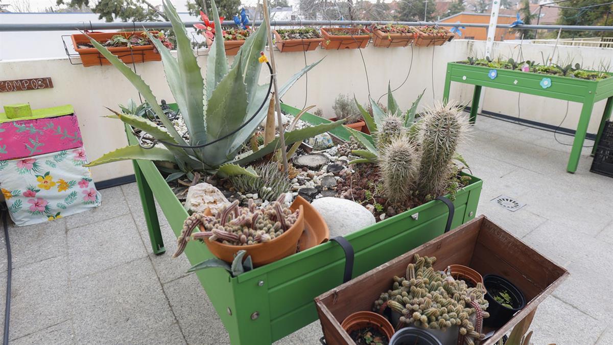 Este plan arranca el próximo 11 de junio