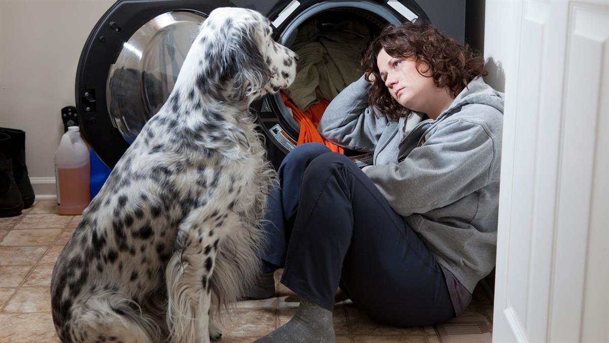 El consistorio fuenlabreño aprueba sumarse al programa VOIPET de acogida temporal para animales de mujeres maltratadas