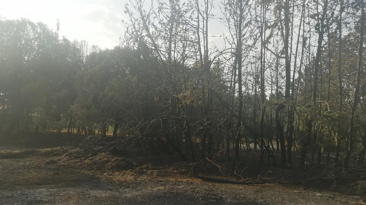 El incendio se desarrolló en una parcela situada junto a la calle Mestas y calle Ruiz de Alarcón