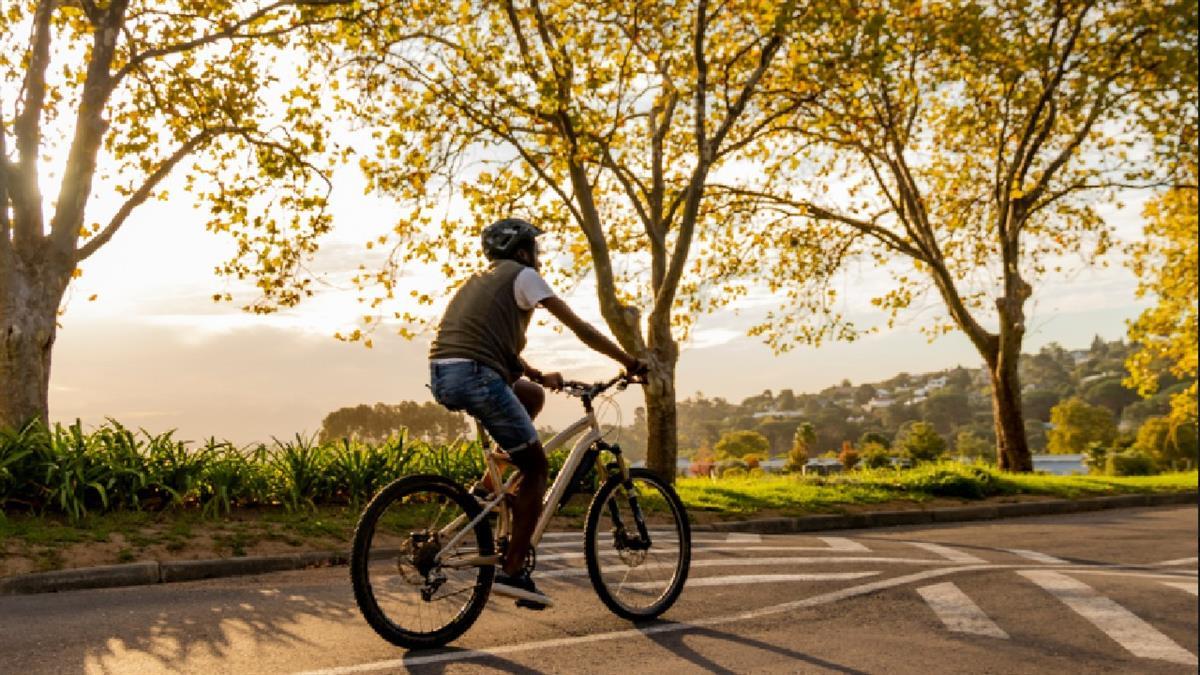 El Ayuntamiento ha renovado el convenio de colaboración con la Red de Ciudades por la Bicicleta 