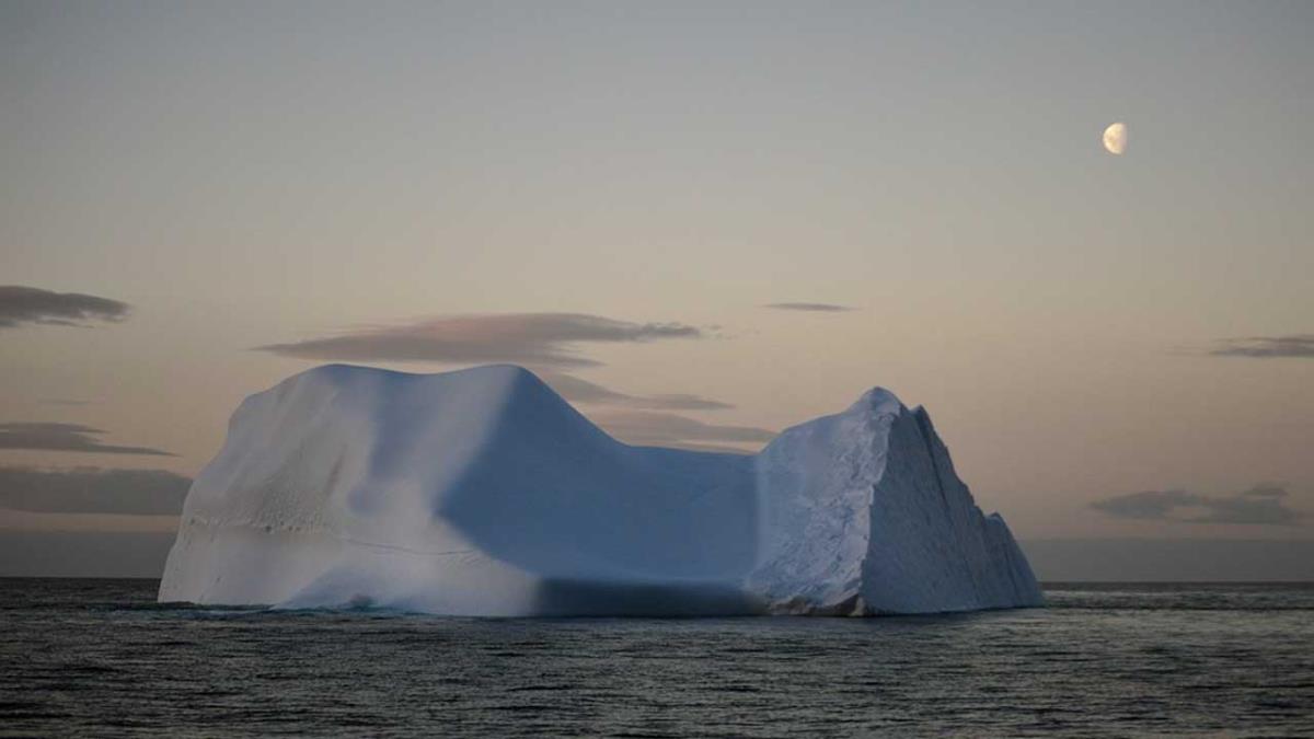 Cadáveres de animales y humanos que se encontraban enterrados están saliendo a la superficie