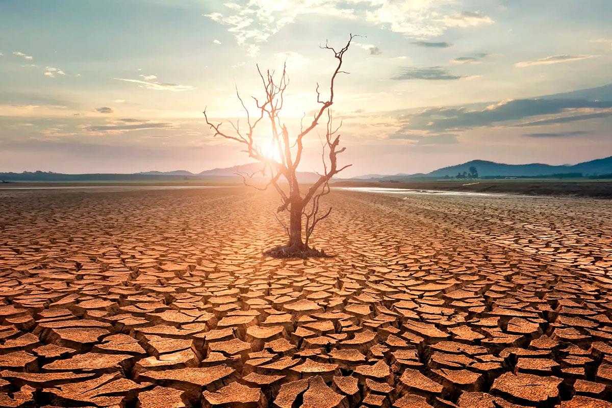 La crisis climática podría disparar los termómetros por encima del nivel de 1,5°C