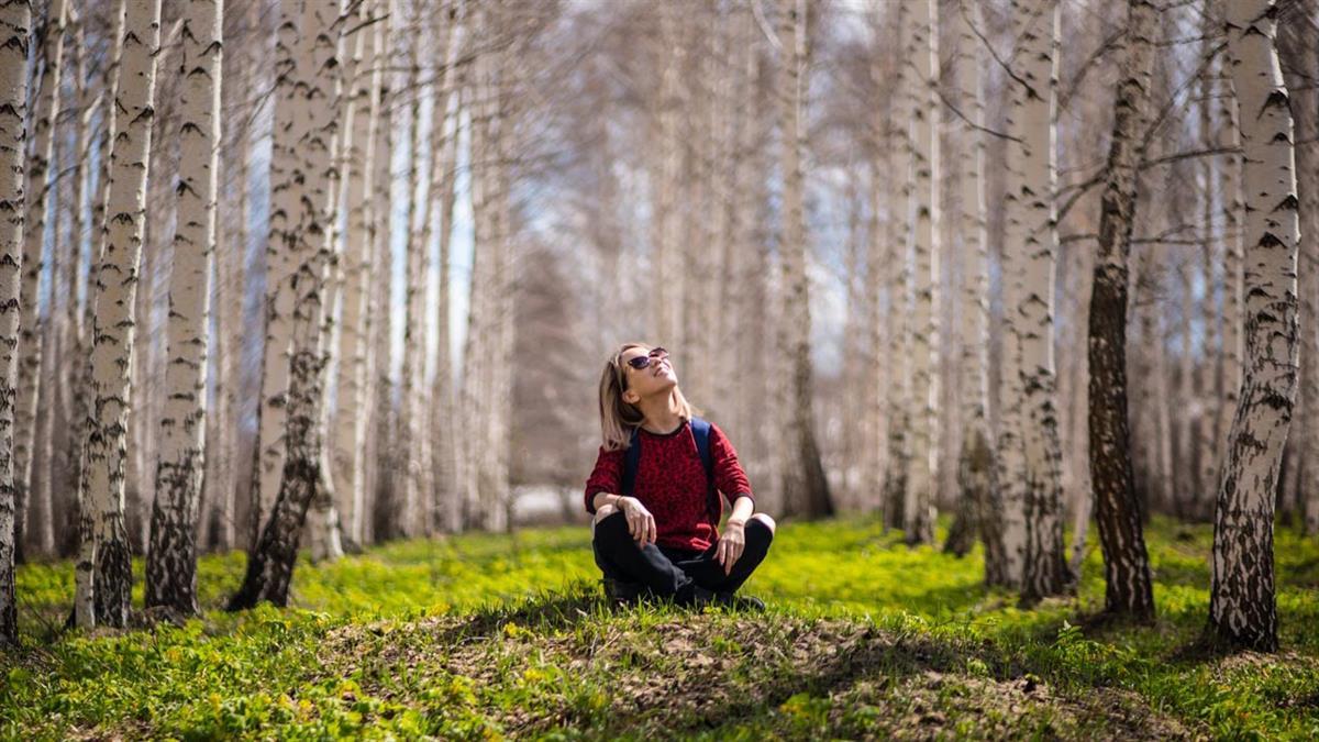 La iniciativa tendrá lugar del 14 al 25 de marzo