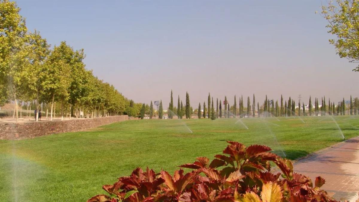 Se va a desarrollar un proyecto piloto en el parque Ciudad de Mayarí