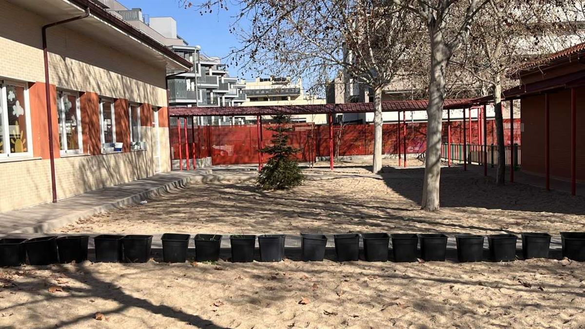 Actuaciones solicitadas por las direcciones de ambos colegios, tras las reuniones mantenidas con el gobierno