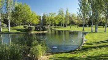 La formación plantea que las obras en el puente de la M-300 van a provocar "un colapso circulatorio" el Día de Todos los Santos
