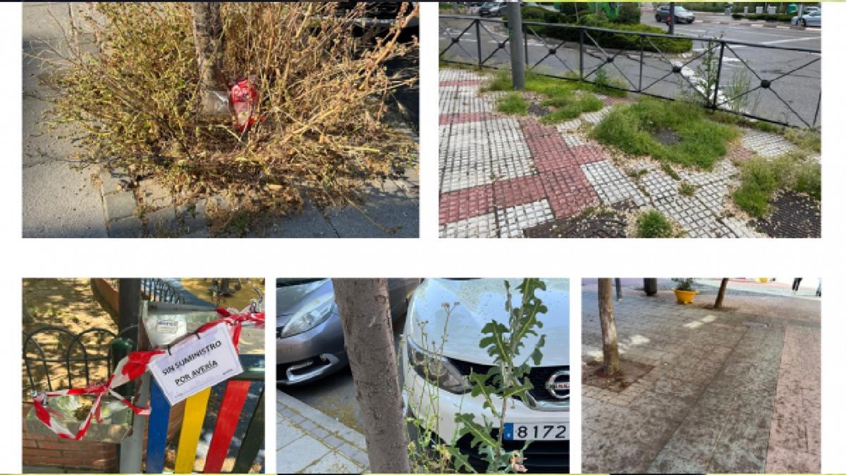 El Grupo Municipal Socialista exigen a la alcaldesa que tomen medidas urgentes 