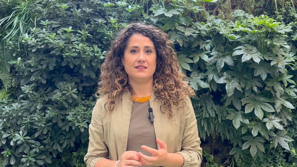 PSOE presentará “alternativas para hacer más asequible” la tasa de basuras en Madrid