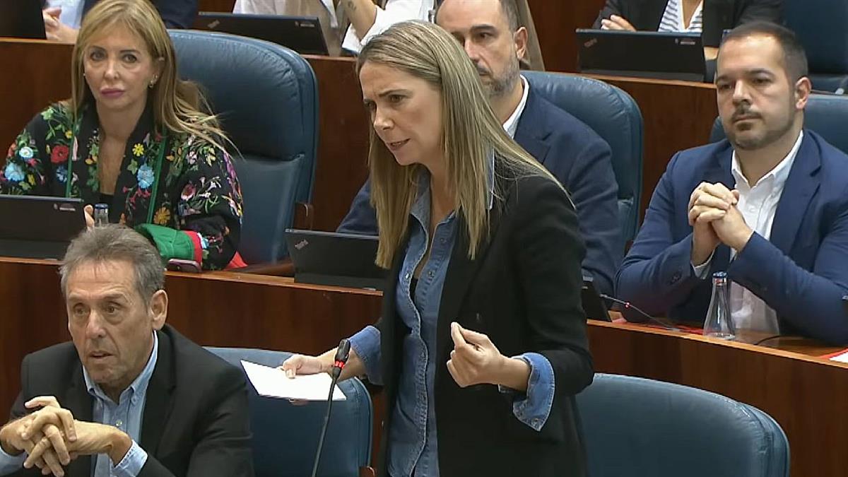 La portavoz del PSOE en la Asamblea pide que la Ley de Universidades se elabore desde el principio 