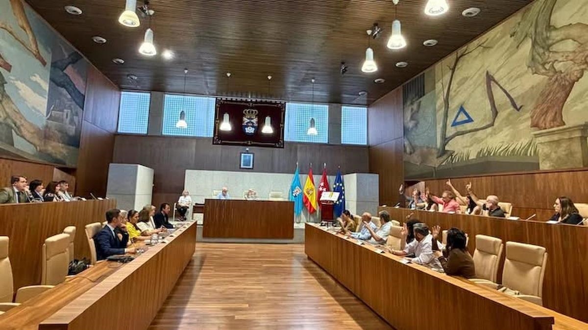 Los socialistas plantean un plan para el arbolado, reclaman más facultativos en el SUMMA 112 y piden proteger el suelo industrial