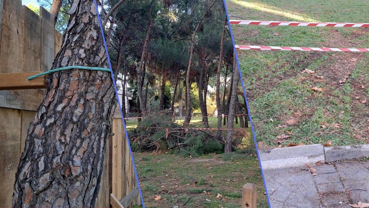 El grupo municipal socialista advierte que el Parque Liana está siendo maltratado: daños en el arbolado y el pavimento