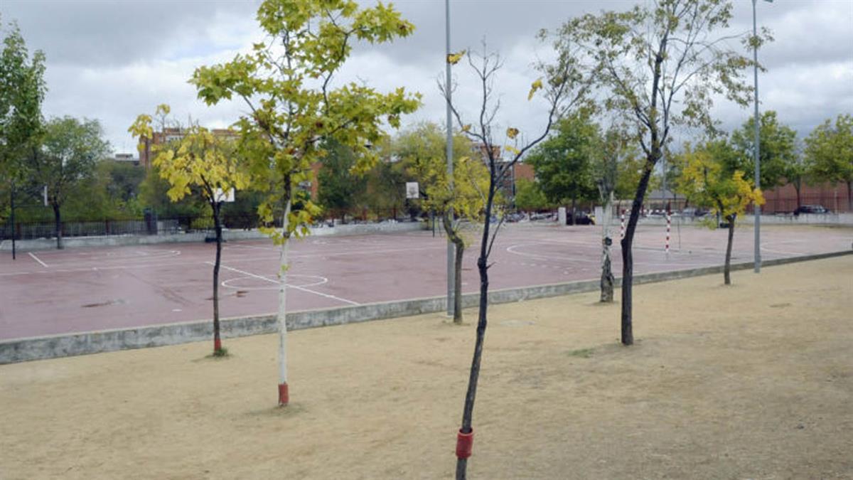 Llevará al pleno de mes de octubre este asunto