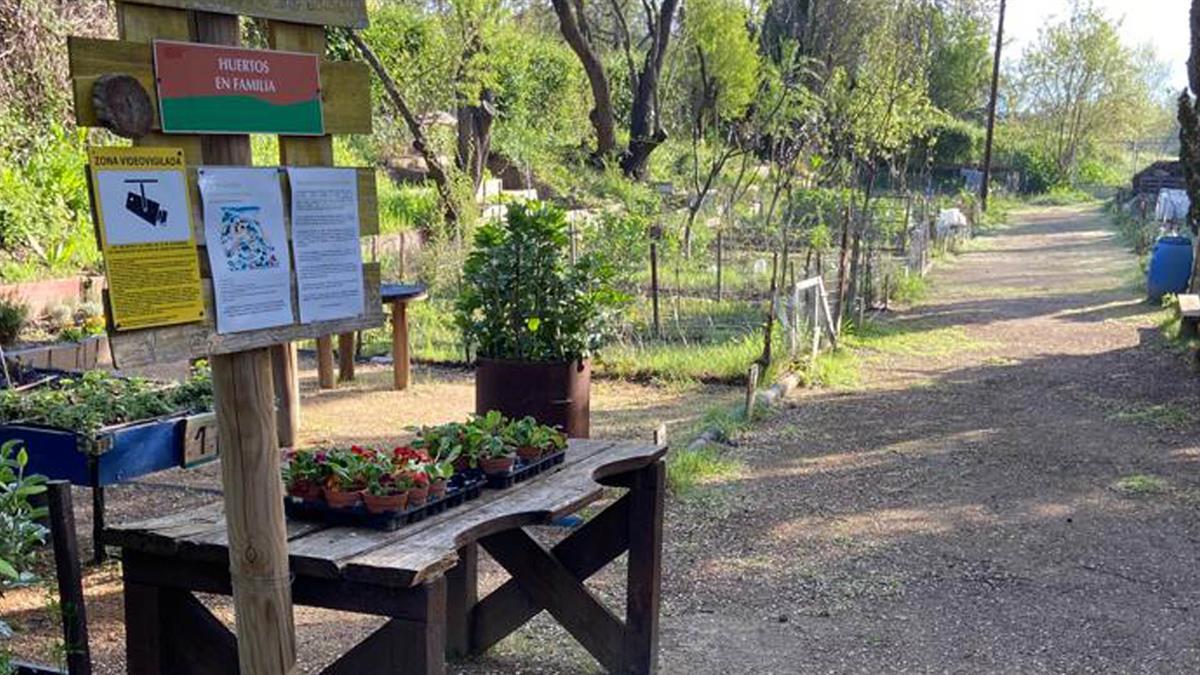 Entre el Paseo de las Naciones y el Camino de Valdenigrales