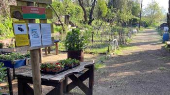 Entre el Paseo de las Naciones y el Camino de Valdenigrales