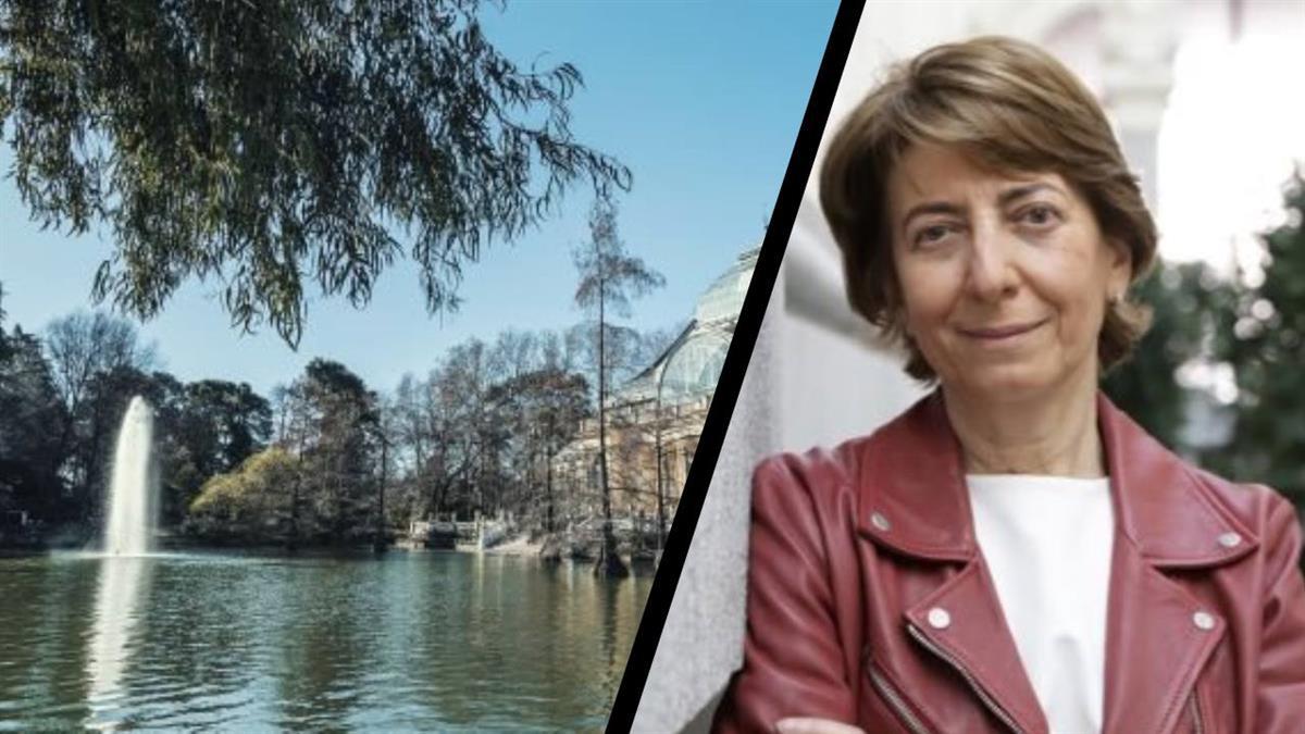 La Mesa del árbol vuelve a reunirse para la revisión del protocolo de actuación