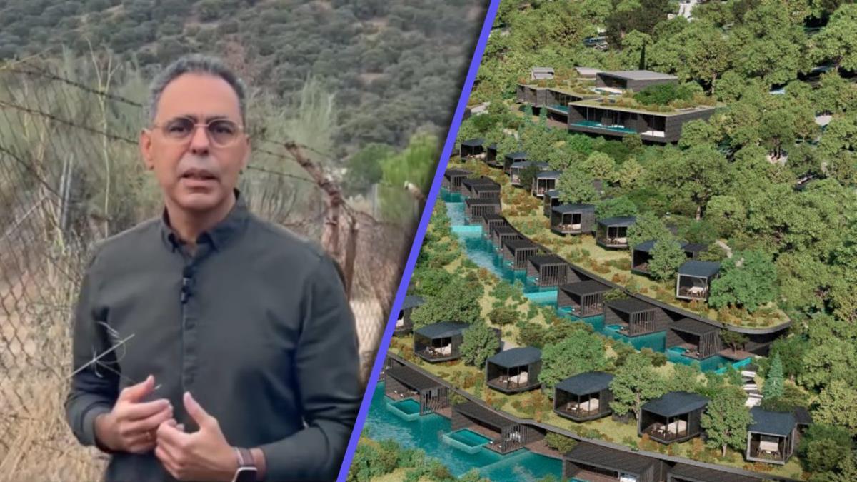 El PSOE critica que "Navalagamella reciba el coste de las licencias" y su ciudad "la tala de árboles"