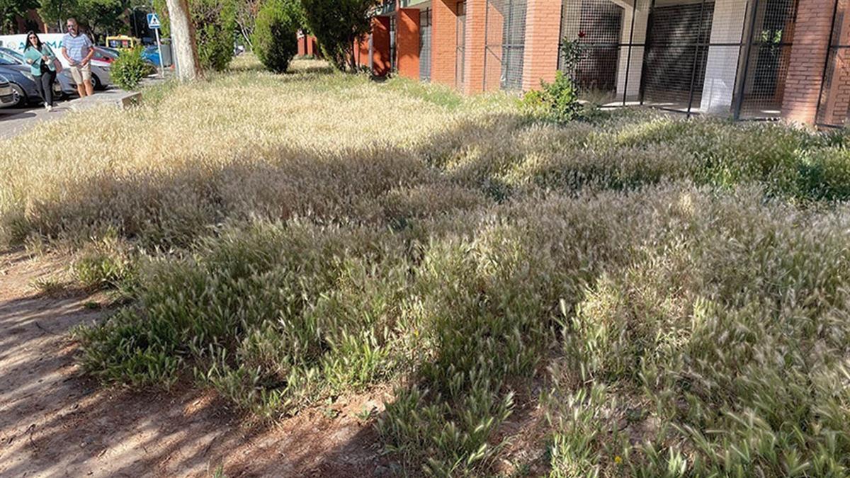 El PSOE denuncia la falta de mantenimiento y el Ayuntamiento responde a las críticas 