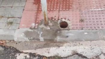 Los socialistas piden que se cumpla la Ordenanza de Tenencia de Animales de Compañía