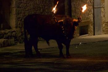 La Asociación de Veterinarios Abolicionistas de la Tauromaquia y del Maltrato Animal ha denunciado la propuesta