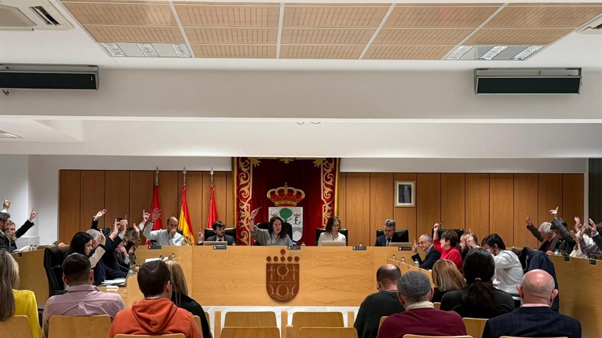 El Ayuntamiento aprueba implantar las pulseras centinela en grandes eventos