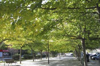 El Laboratorio Municipal de Coslada presenta un informe sobre la atmósfera