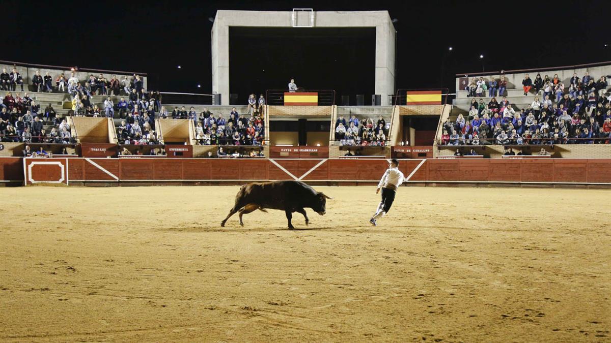 La formación rechaza el regreso de estos espectáculos para próximas ediciones de las Fiestas Patronales