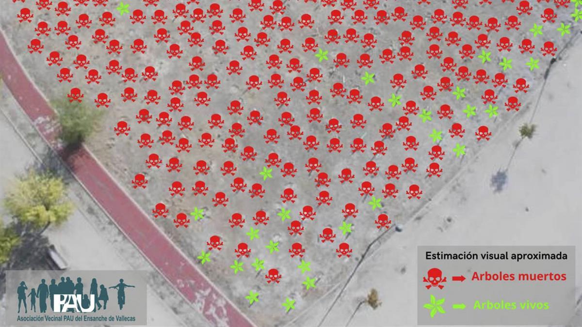 Los vecinos aseguran que el 77% de los ejemplares plantados hace seis meses se han perdido