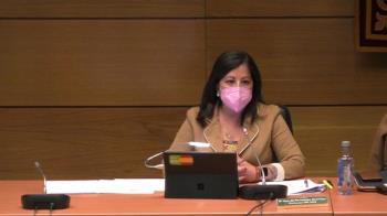 El Grupo municipal Vox ha presentado una moción contra el suicidio