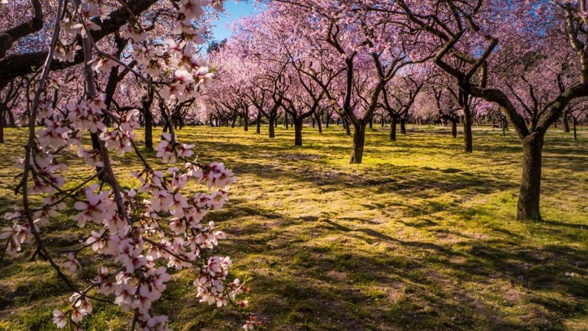 Este recinto de recreo se incluirá en la categoría de Patrimonio Histórico por su elevado valor