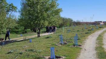 Ha sido reconocido su proyecto de Reforestación del Arroyo Humanejos y el compromiso contra el cambio climático