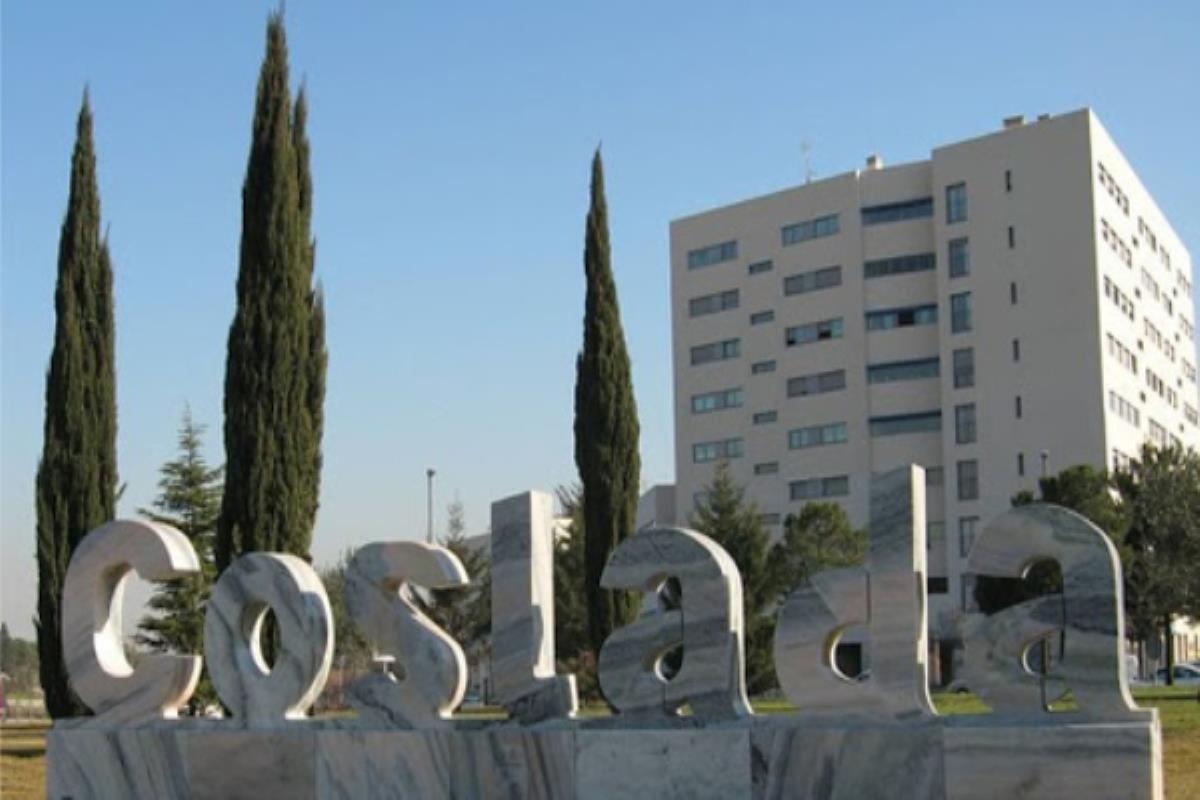 El Ayuntamiento de Coslada va a realizar la acción Freestyle dirigida a jóvenes de entre 14 a 17 años 
