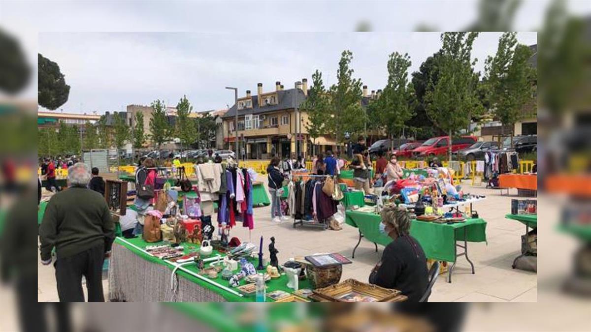 El evento se realiza de 10:00 a 15:00 horas