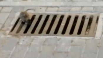 Así lo ha publicado el PP en sus redes sociales