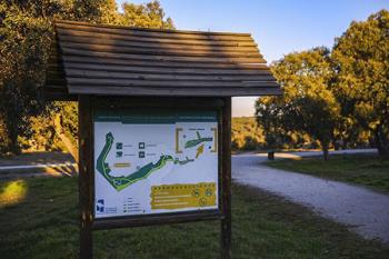 Lee toda la noticia 'Reabren las instalaciones deportivas exteriores a partir del lunes '