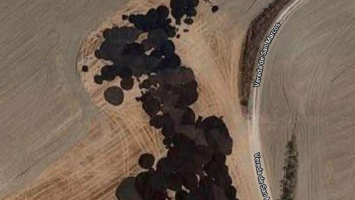 Así lo ha confirmado la concejala de Medio Ambiente, Flor Reguilón