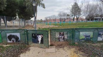 Los trabajos han permitido recuperar el césped, mejorar la seguridad y garantizar el correcto uso de estas instalaciones