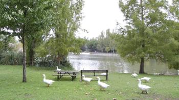 Se reforzarán las labores de limpieza y se recomienda no dar de comer a los animales de la zona