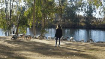 El cierre se había producido por la detección de varios casos de gripe aviar en la zona