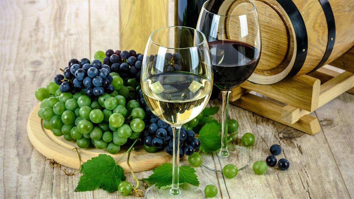 Celebra la recogida de la uva y disfruta de diversas actividades