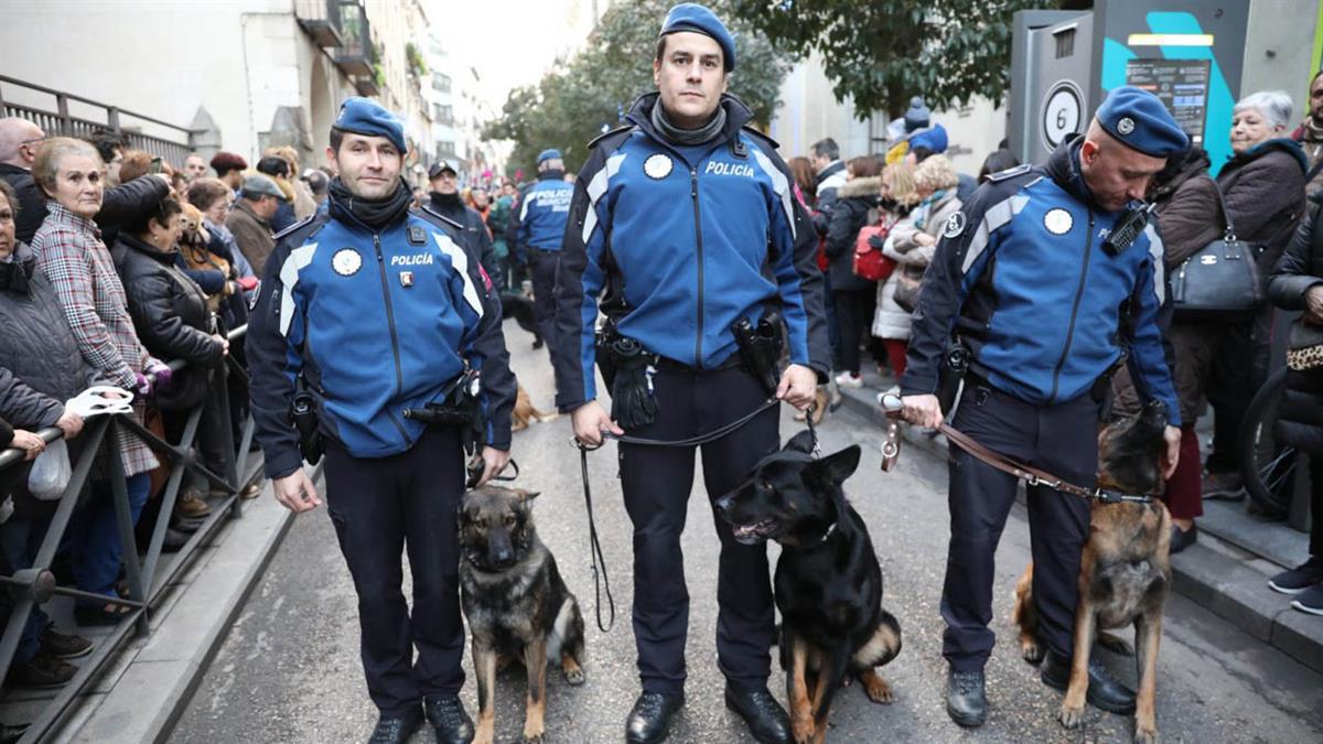 Estos animales facilitan la vida de personas con discapacidad o necesitadas de especial apoyo