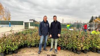 El Ayuntamiento ha puesto en marcha un plan para regenerar el área residencial afectada por el incendio del pasado verano